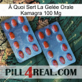 À Quoi Sert La Gelée Orale Kamagra 100 Mg 05